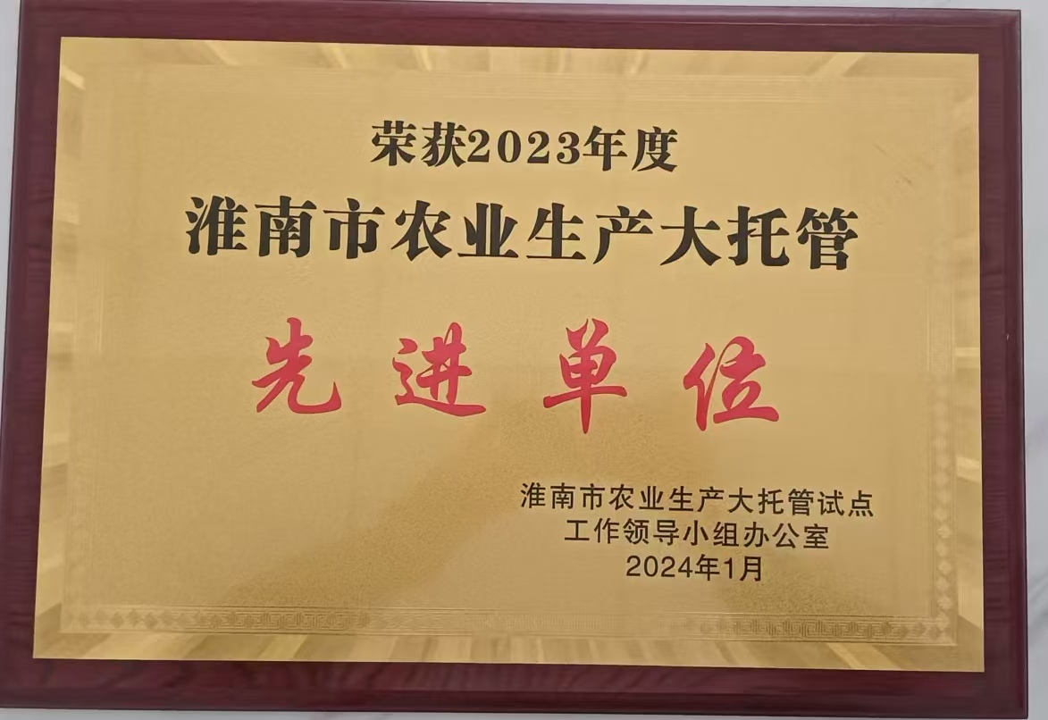 荣誉12