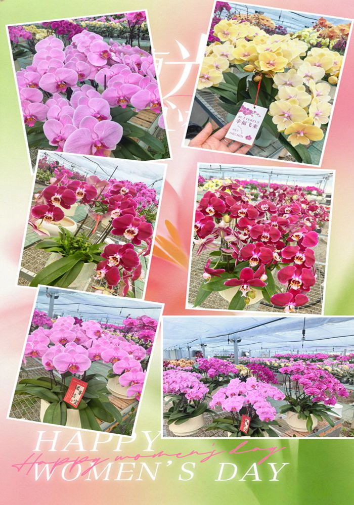 微信图片_20260310101851_13_7