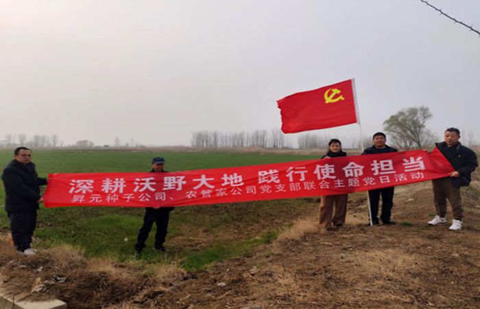 1未命名_副本 1未命名_副本